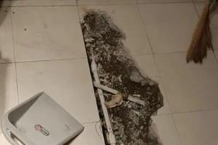 夷陵卫生间漏水检测电话